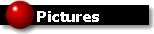 crypics.gif (1945 bytes)